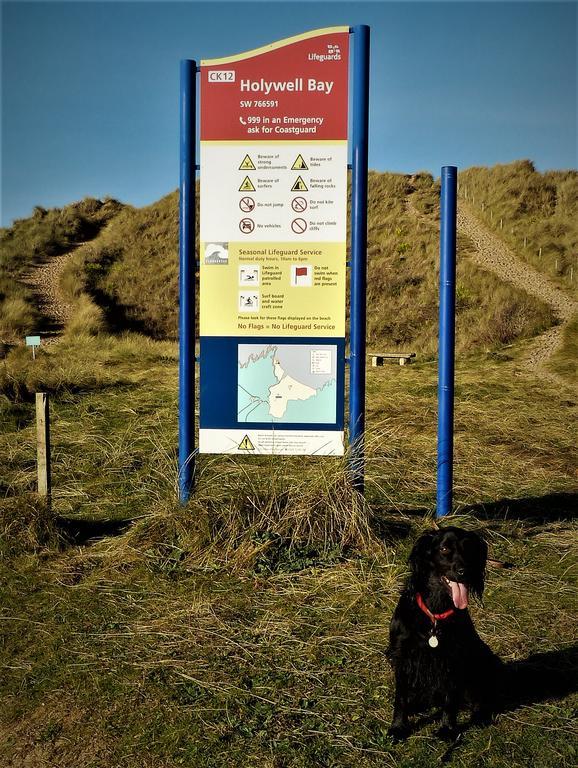 Cormorant House Newquay (Cornwall) Exterior photo